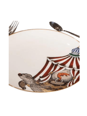 turtle plate searcus
