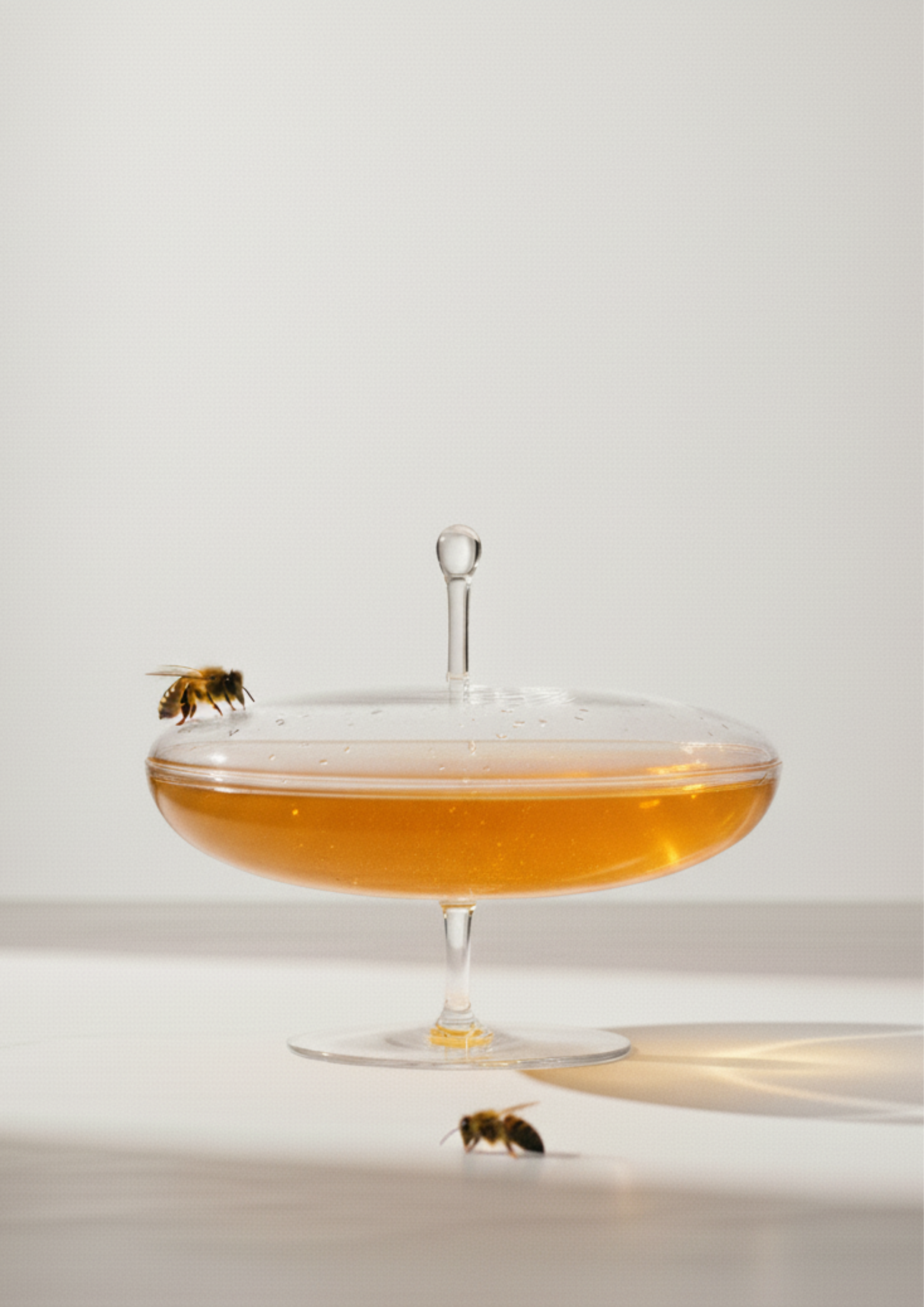 Candy Dish Clear | Lobmeyr - Image 3