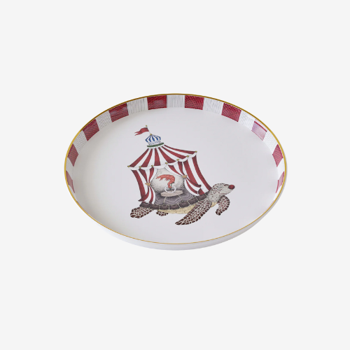 Tray turtle Searcus